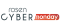 Cyber