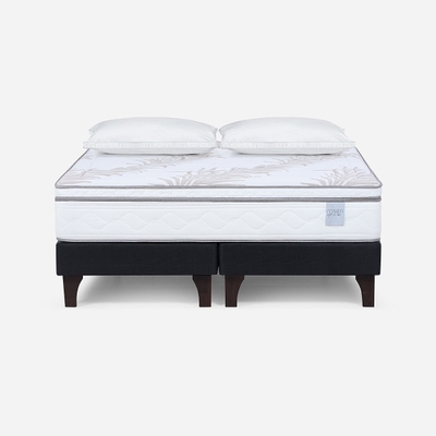 Cama Neo Plus King + Almohada Microfibra Feel