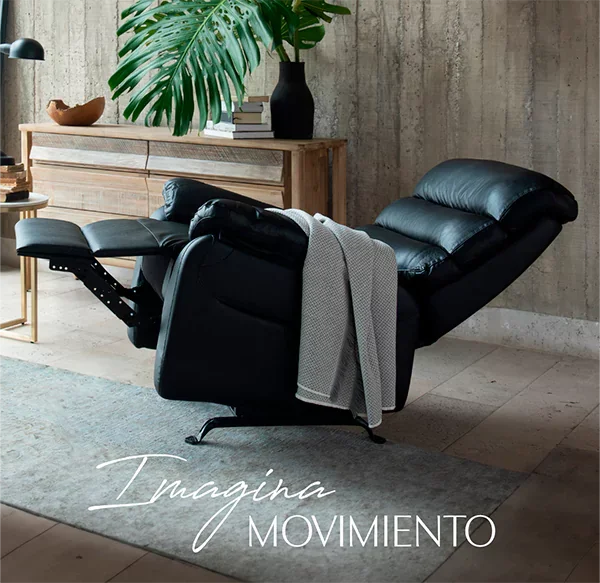 novedades