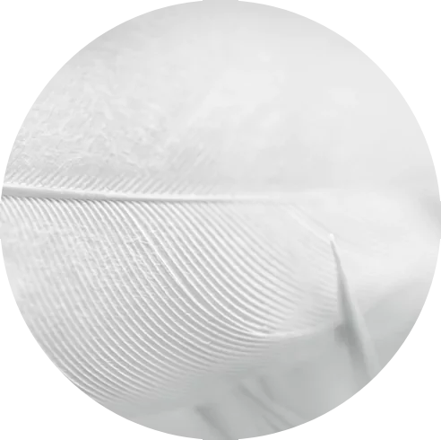 Pluma