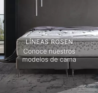 Medios de Pago Rosen