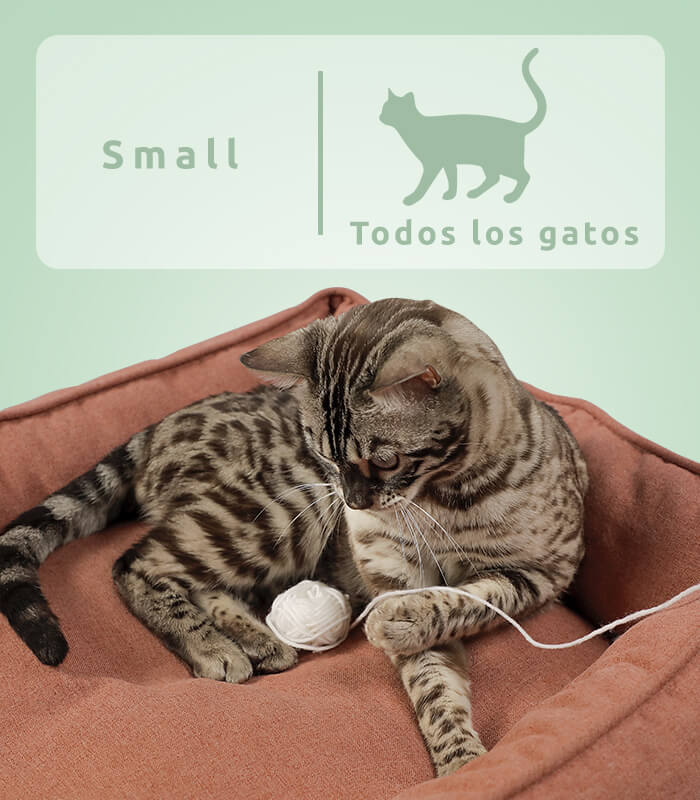 camas-mascotas