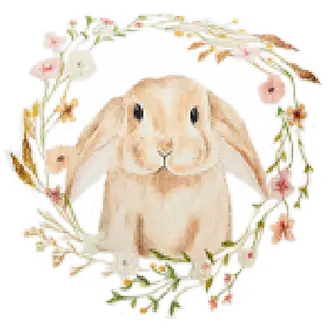 Imagen Rosen